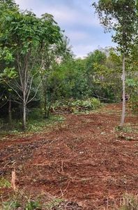 LOT 73 Cornfield Ln, Appomattox, VA, 24522