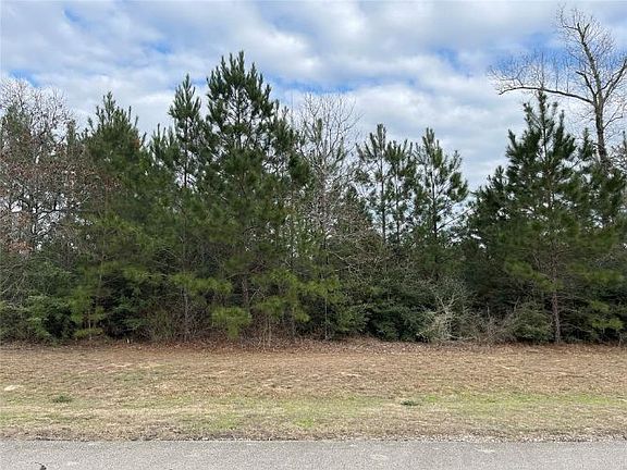 5th image of 13041 Shady Woods Ct
