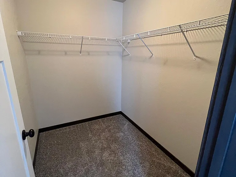 Primary walk in closet