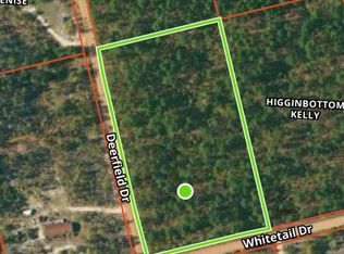 Deerfield Dr, Williston, SC 29853