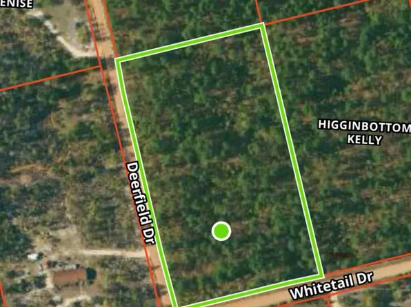 Deerfield Dr, Williston, SC 29853
