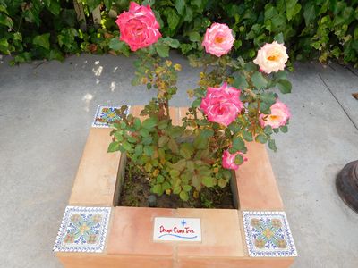 627 N Detroit St, Los Angeles, CA, 90036