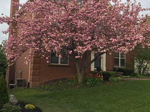 3rd image of 608 Emmett Creek Ln