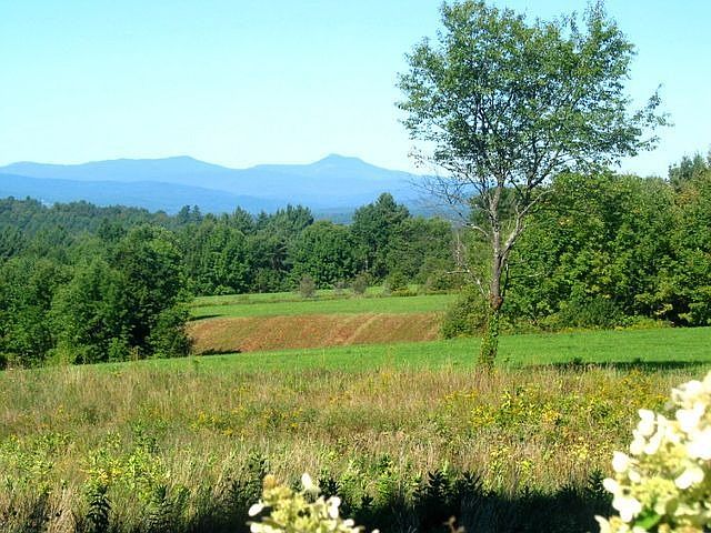2nd image of 2084 Middle Rd
