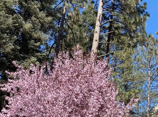 25220 Lodge Rd, Idyllwild, CA 92549