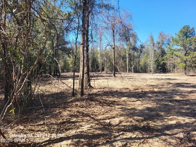 22-2N-1000 NW White Pond Cir LOT 10, Altha, FL, 32421