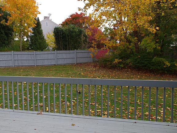Back deck and yard