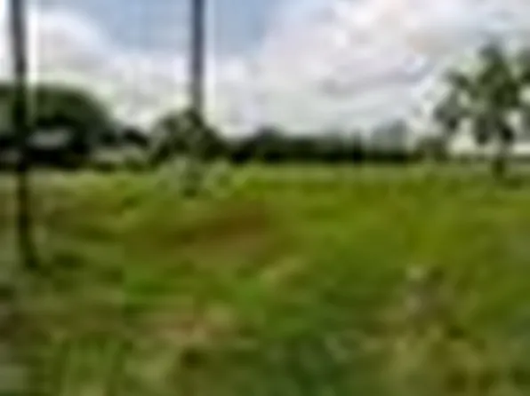 0 County Road 168, Alvin, TX 77511