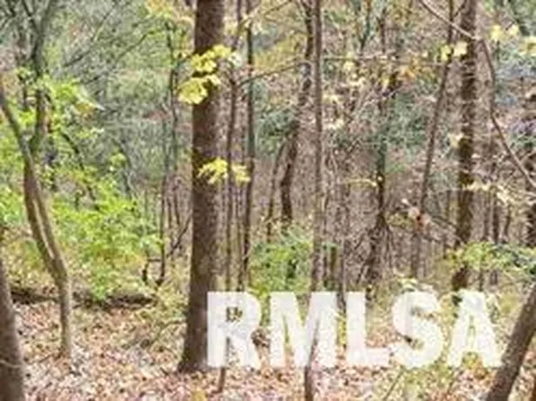 123 Wampam Ct, Hopewell, IL 61565