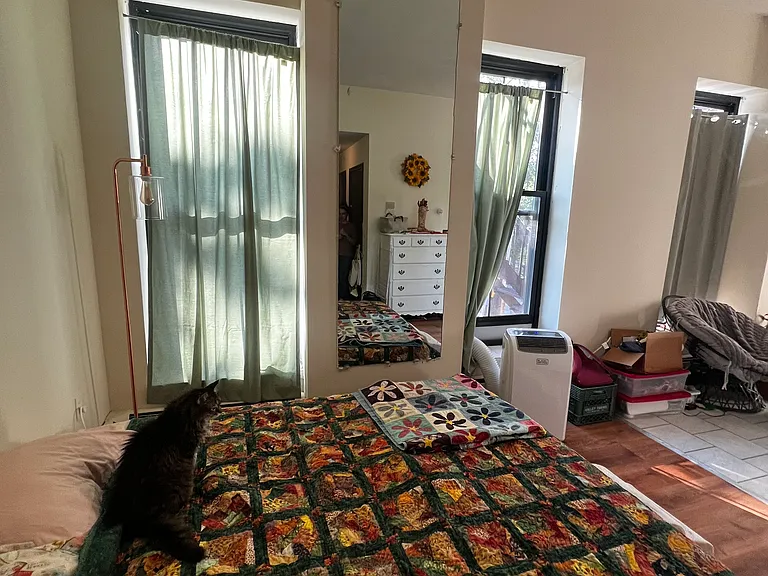 247 Pearl St #103 — Photo 11