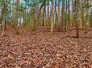 914 Villa Dr, Ellijay, GA 30540