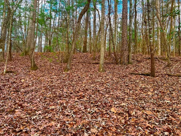 914 Villa Dr, Ellijay, GA 30540