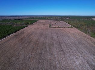 53.86 Acres Pate Rd, Bishopville, SC 29010