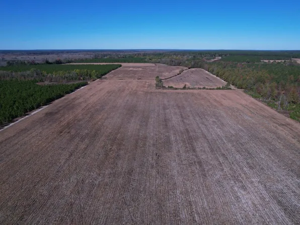 53.86 Acres-TBD Pate Rd, Bishopville, SC 29010