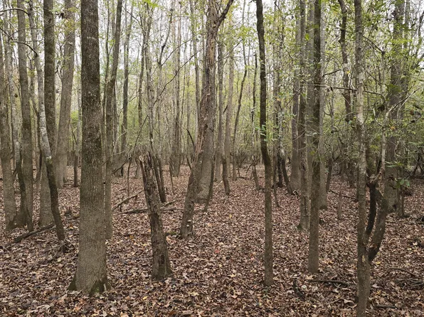 0 Wheatfield Rd, Poplarville, MS 39470