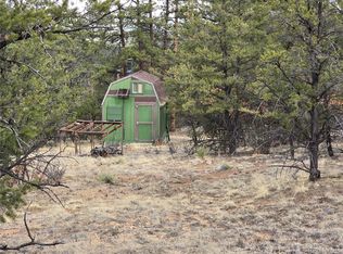 1675 J Path, Cotopaxi, CO 81223