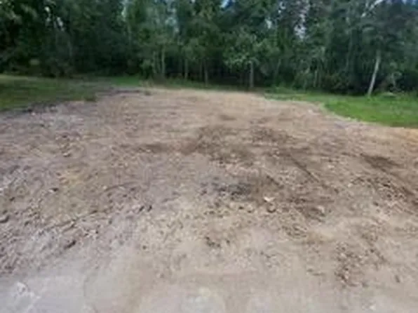 31506 N Cafeline Rd, Albany, LA 70711