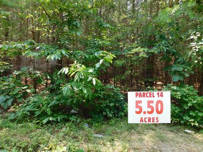 Neals Corner Rd, Clover, VA, 24534