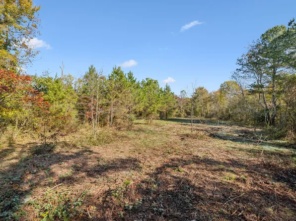 7489 Shoals Branch Rd, Primm Springs, TN 38476