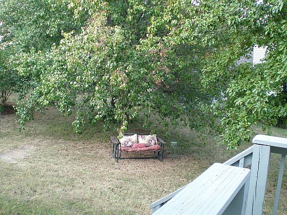 A shady spot to read