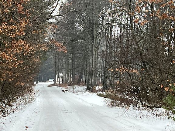 2nd image of 23488 W Tadpole Dr