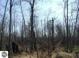 0 N Richards Rd, Lake City, MI 49651