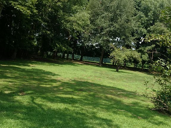 Spacious serene backyard