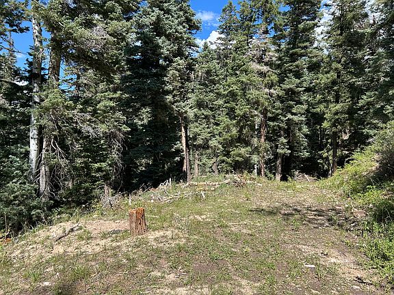 4th image of 6410 W Kodiak Dr