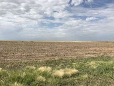 2375 State Highway 96, Tribune, KS, 67879