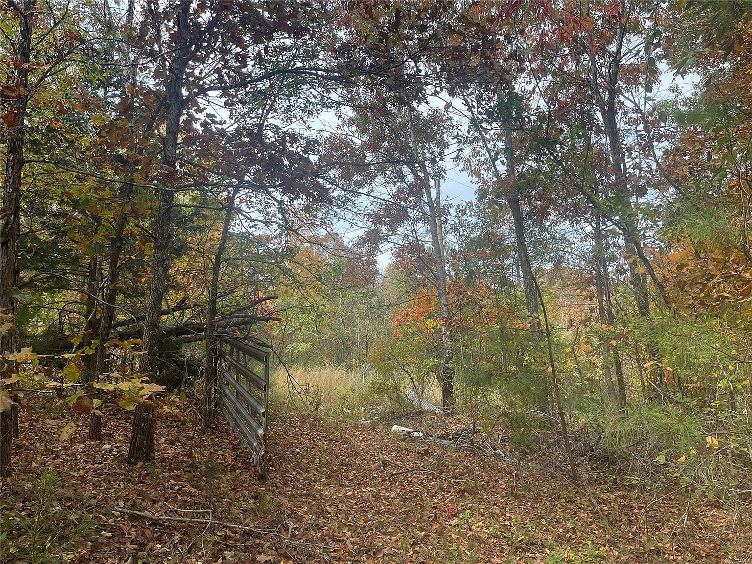 0 County Road 727, Zalma, MO 63787 MLS 23064893 Zillow