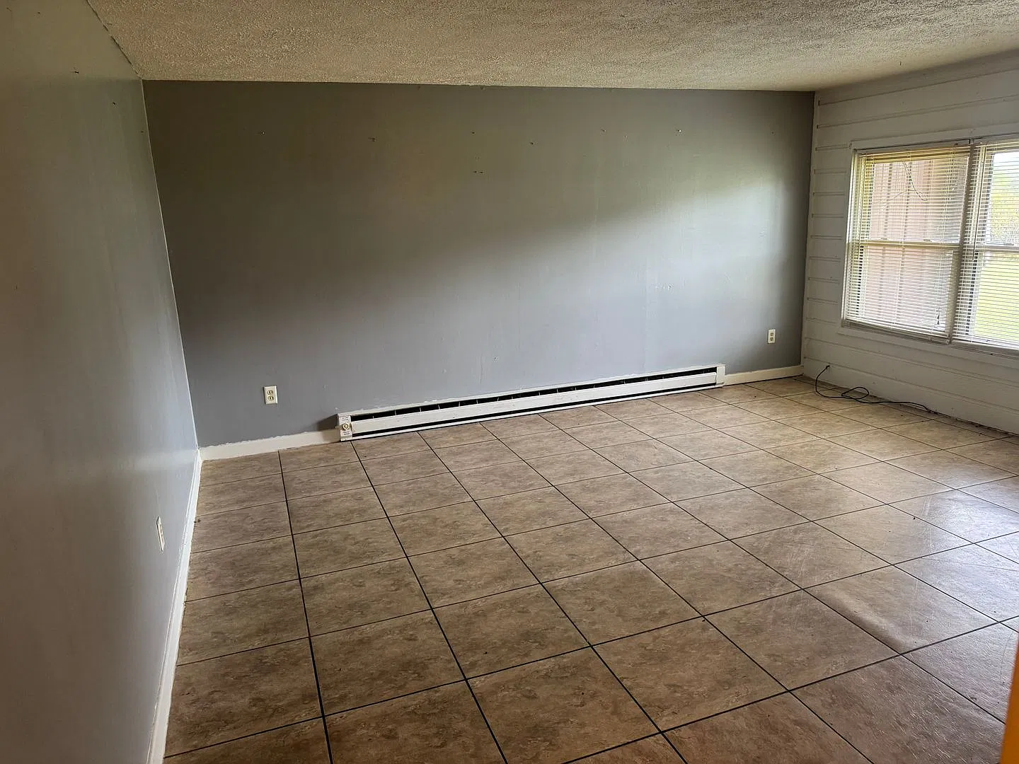 1333 Cora Lane — Photo 3