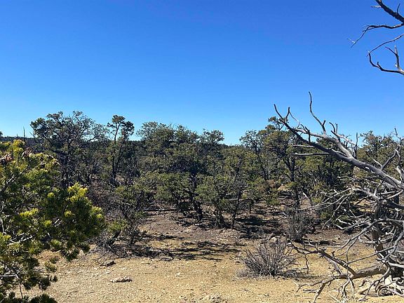 2nd image of 30 Bar Rd #L