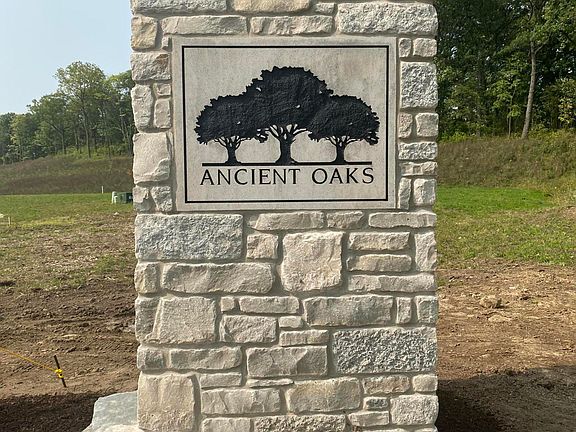 4th image of LOT 38 Ancient Oaks