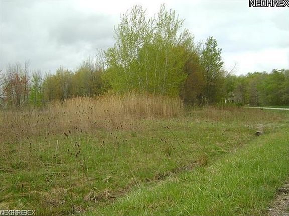 3rd image of Zrolka Dr