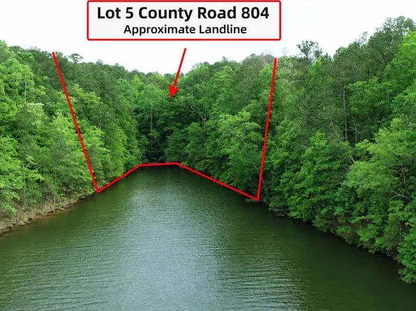 5 County Road 804 #5, Wedowee, AL 36278