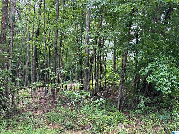 2nd image of TRACT Two 343 County Rd #892