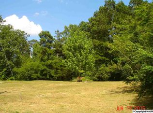 1250 Gip Yates Rd, Blountsville, AL 35031