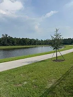 3 bed, 2.5 bath, 1540 sqft, $2,800 — Photo 3
