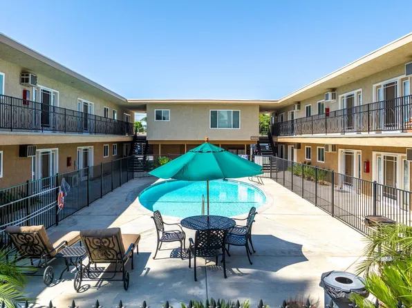 Beautiful Sago Palms - Ask about our MOVE-IN SPECIALS!