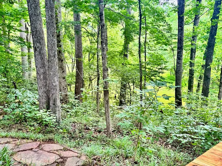 15890 Westbrook Rd — Photo 2