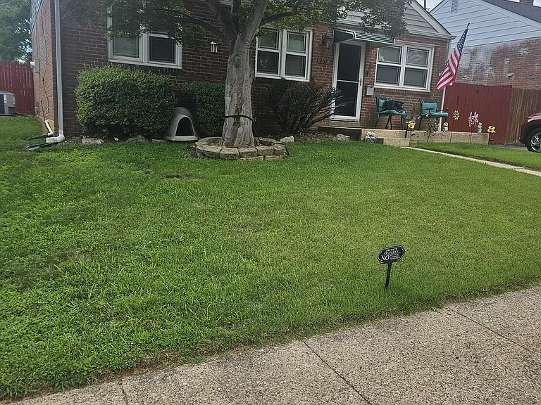 203 Rosemont Dr — Photo 3