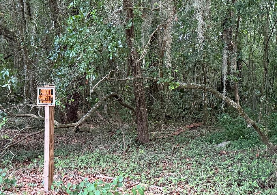 2nd image of 187 Little Orange Lake Dr