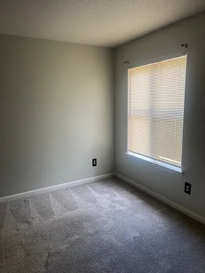 2 bed, 1.0 bath, 900 sqft, $780 — Photo 2