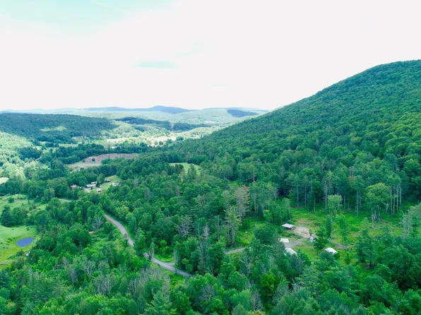 147 Pangman Rd, Gilboa, NY 12076