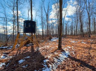 0 Jasper Rd, Piketon, OH 45661