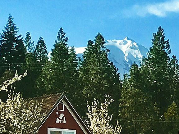 View from front porch