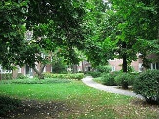 2nd image of 7212 Oak Ave #2