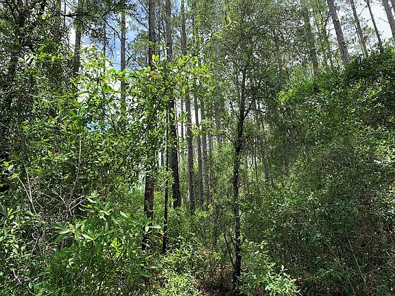 4th image of 2020 NW County Road 341