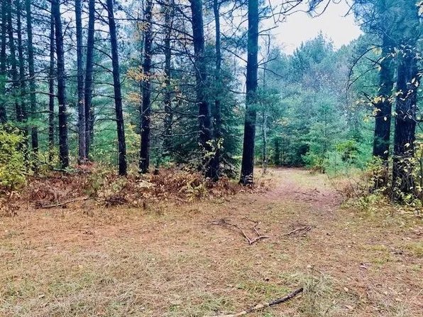 On Bloom Rd, Eagle River, WI 54521