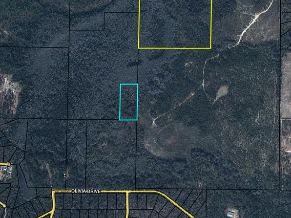 Olivia Dr, Alford, FL 32420